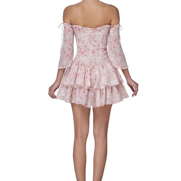 NWT ADEIRLINA Eleonora Mini Dress - Picture 4 of 6